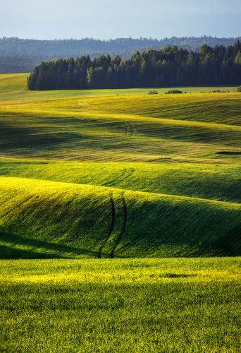 Поля Удмуртии