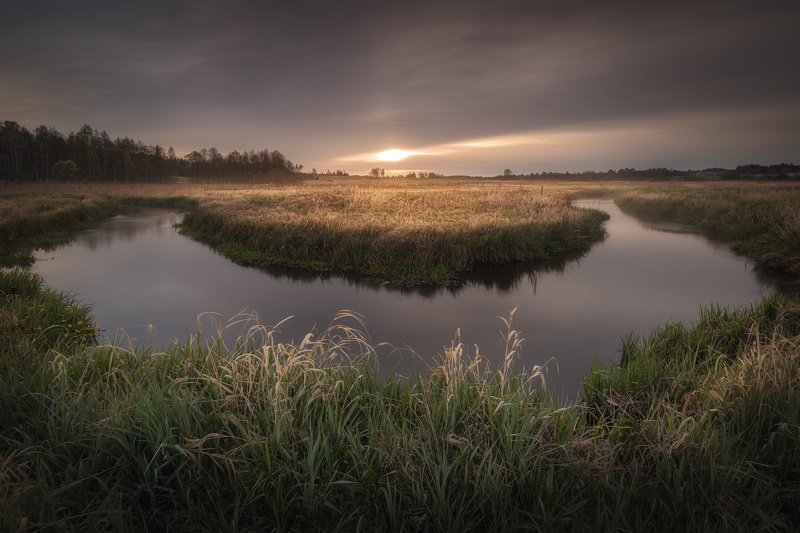 river sunrise water clouds sky grass meadow Podlasie Poland Moody sunrise... фото превью
