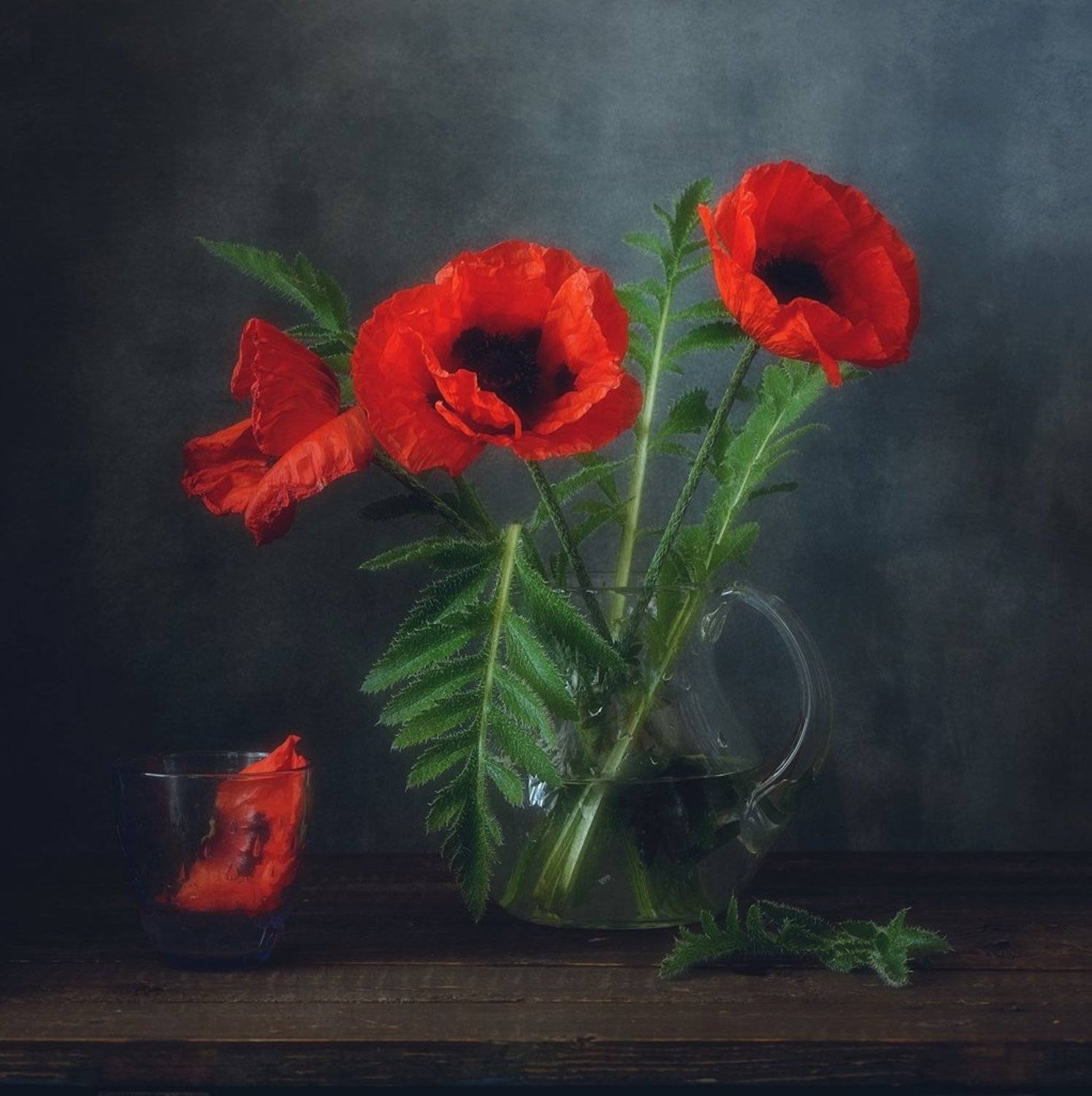 натюрморт,цветы,лето,маки,  Наталия К