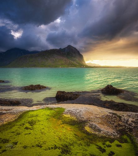 Colours of Lofoten in summertime.