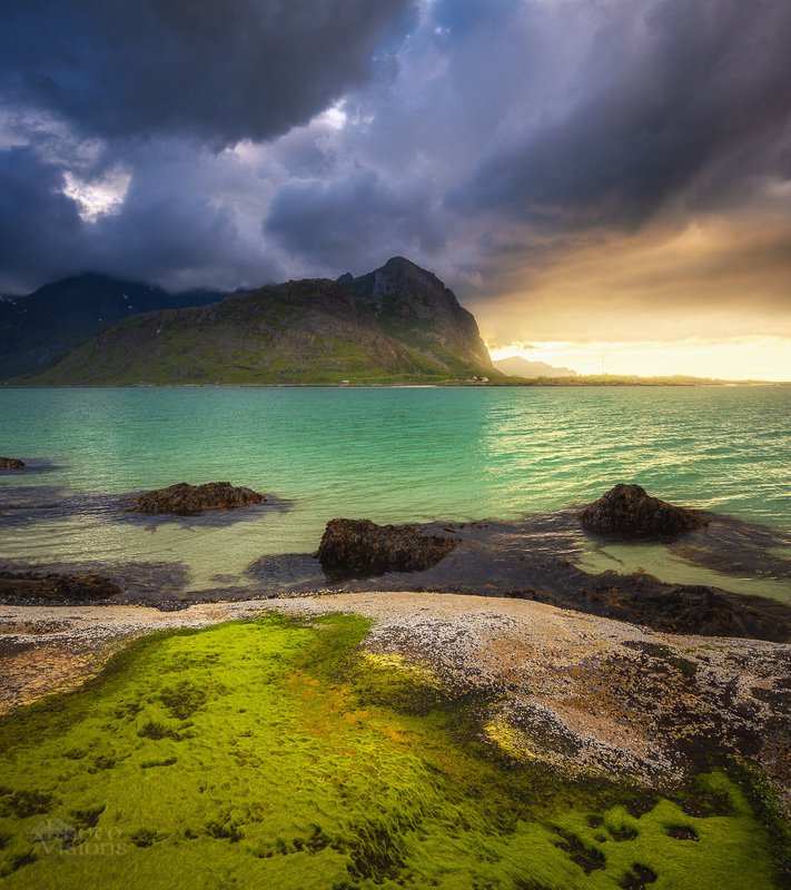 lofoten, norway, norwegian,landscape,summer,summertime, Colours of Lofoten in summertime. фото превью