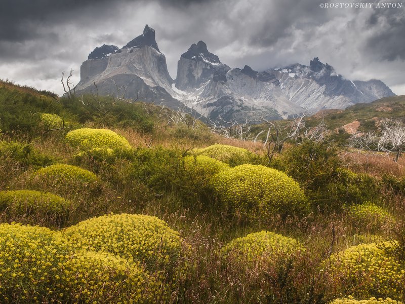 Torres del Paine | фототур в Патагонию фото превью