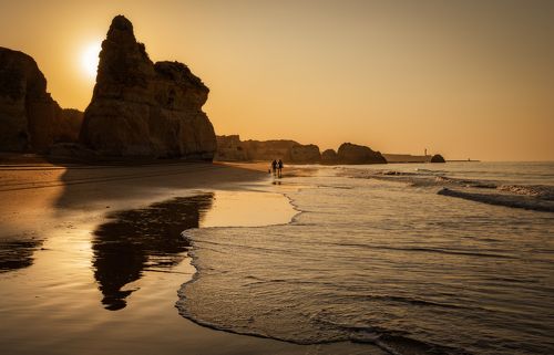 парочка с собакой