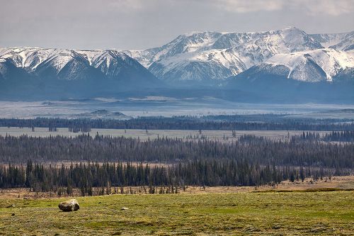 Алтай