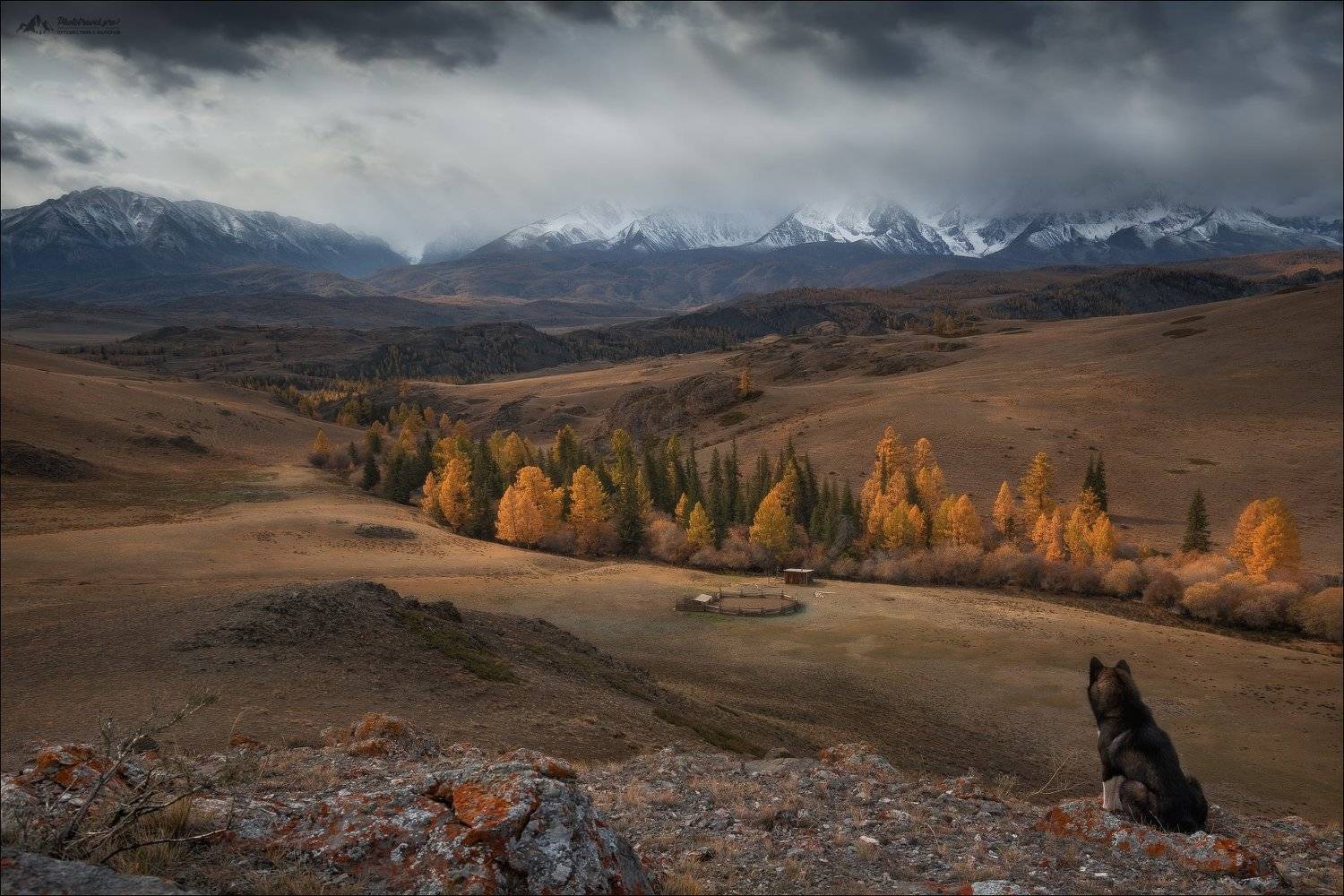 Алтай, Горный Алтай, Курайская степь, Северо-Чуйский хребет, осень, урочище Таджилу, Тадилу, Тадила, фототур на Алтай, Влад Соколовский