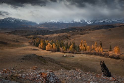 Созерцая красоту ..