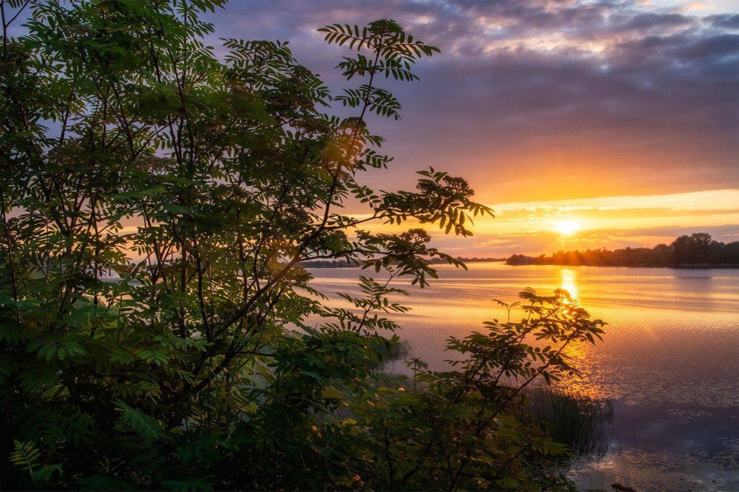 закат, Майя Афзаал