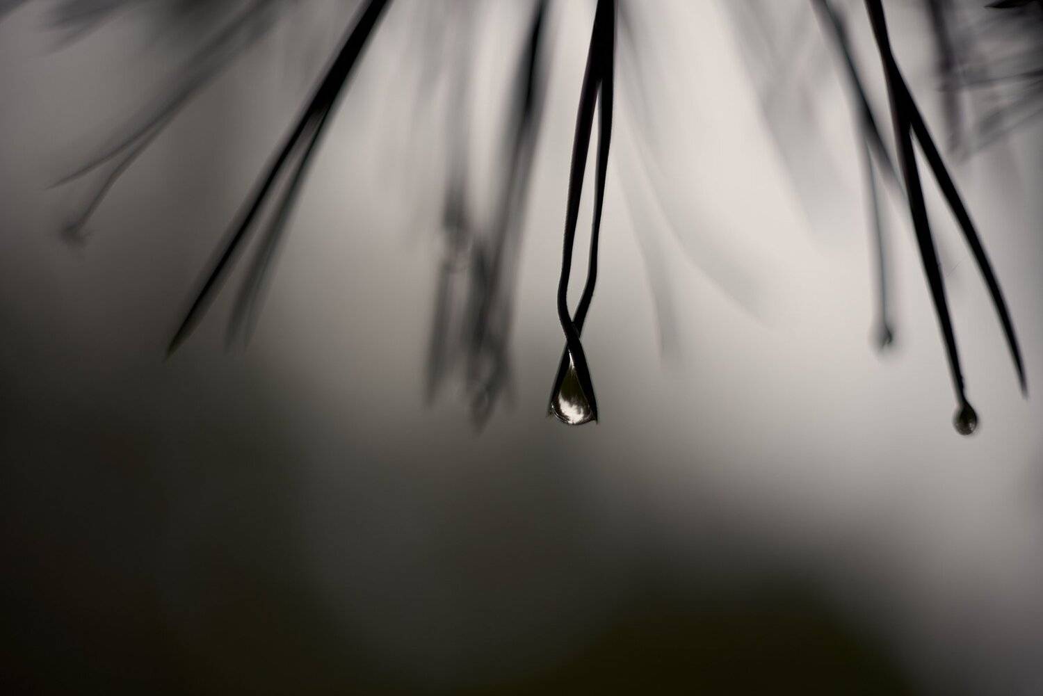 , Никита Арзамасов