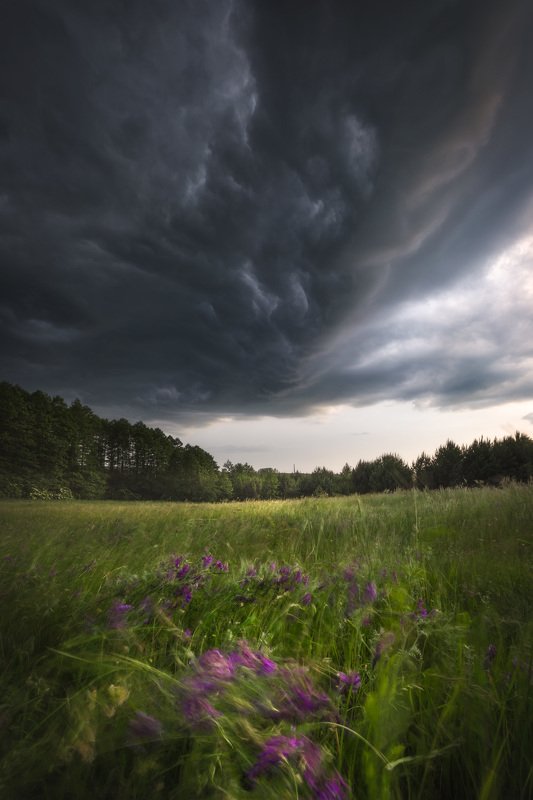 storm clouds light flowers outdoors drama sky Podlasie Poland I\'ll get hit someday... фото превью