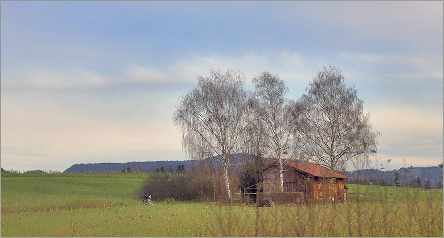 , Stein Georg