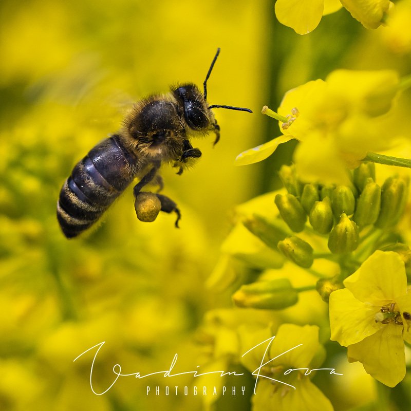 за работой фото превью