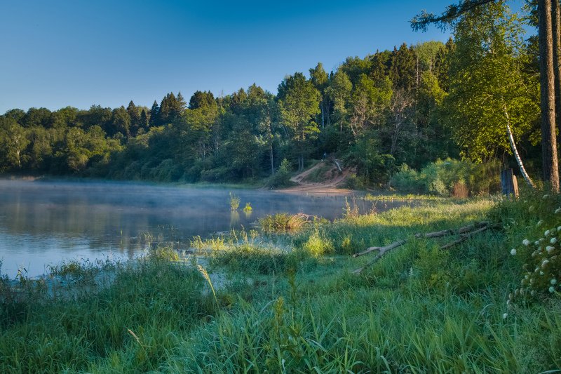 Летняя серия перед сентябрьской волной коронавируса фото превью