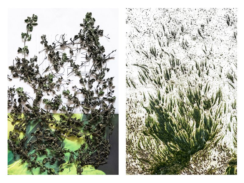 Natural resemblance фото превью