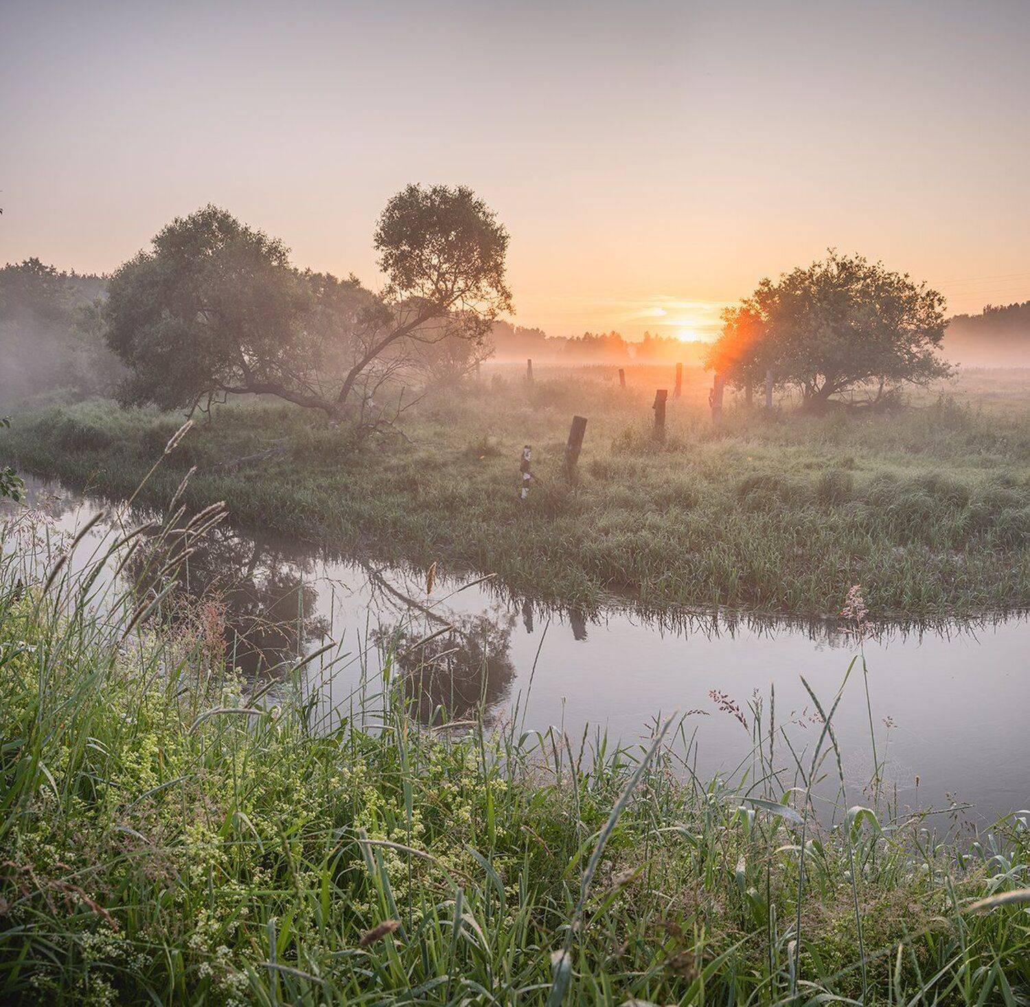, Николай Андреев