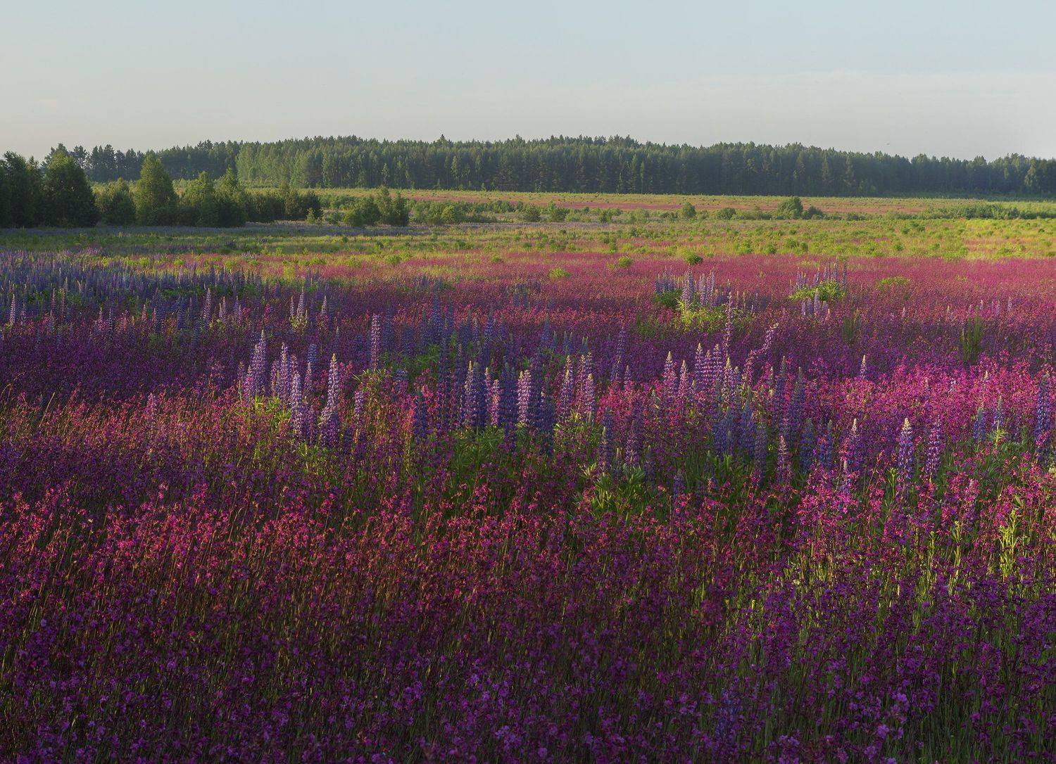 Фототуры с Владимиром Рябковым, #sunrise #sunset #рассвет #закат  #Russiannature #Russia #Россия #природаРоссии #landscape #пейзаж #landscapephotography #Nikon #Никон, Владимир Рябков