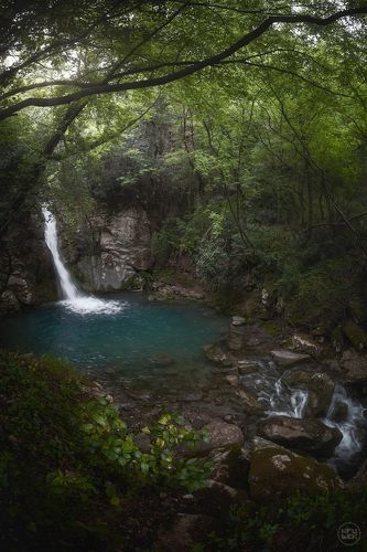 Сокровище старого Бара