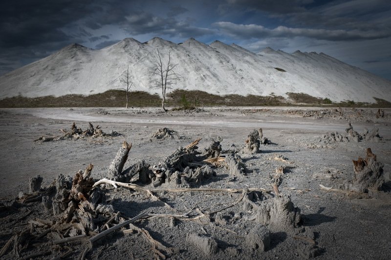 беларусь, гомель, горы, экология Dead nature фото превью