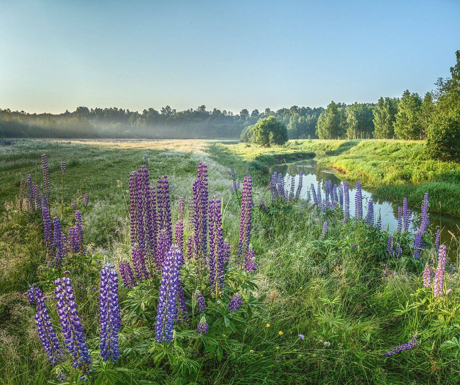 , Николай Андреев