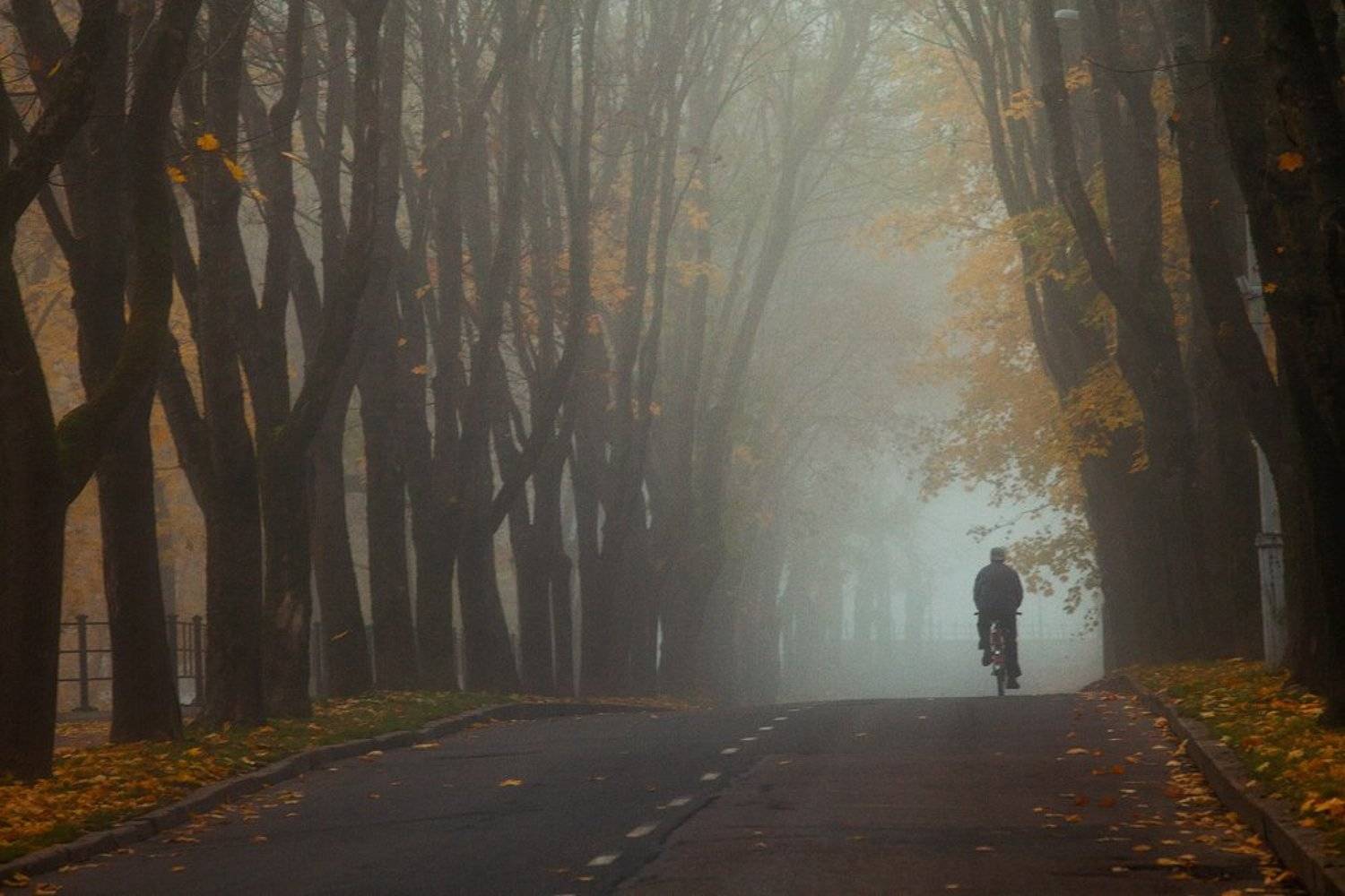 осень, Aleksandr Kljuchenkow