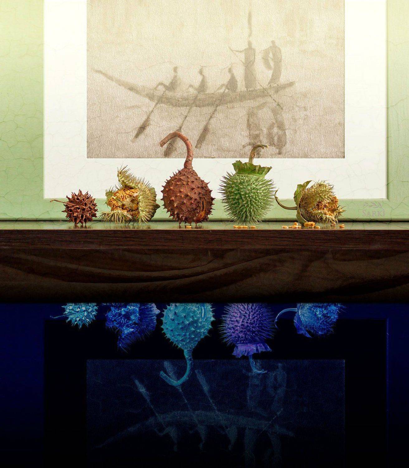 , Станислав Солагаян