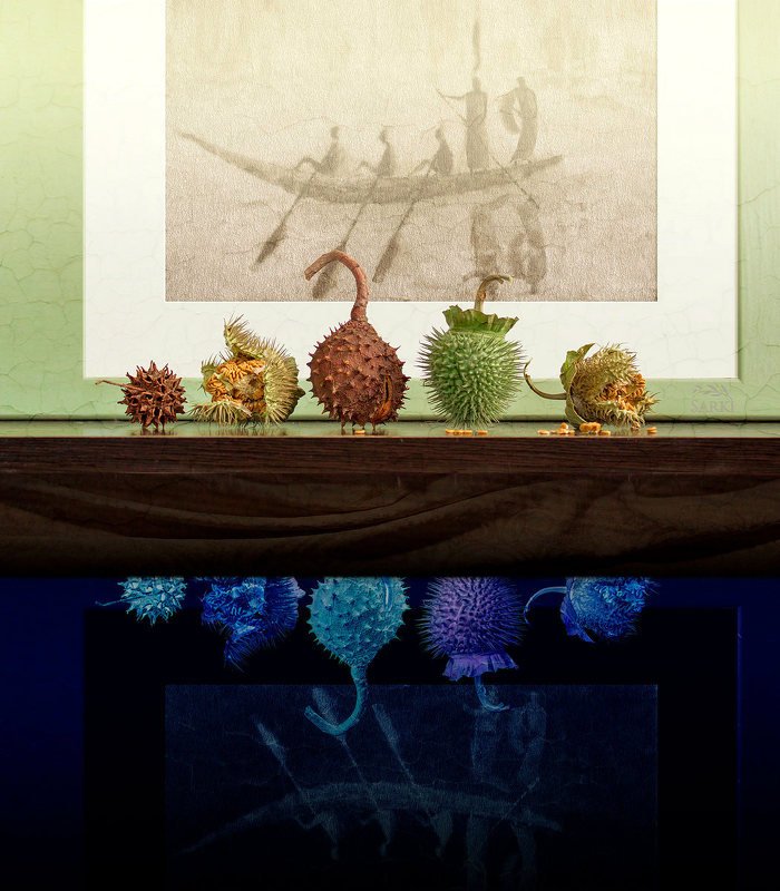 Подождём до весны... фото превью