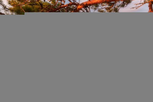 Свет Ладоги...