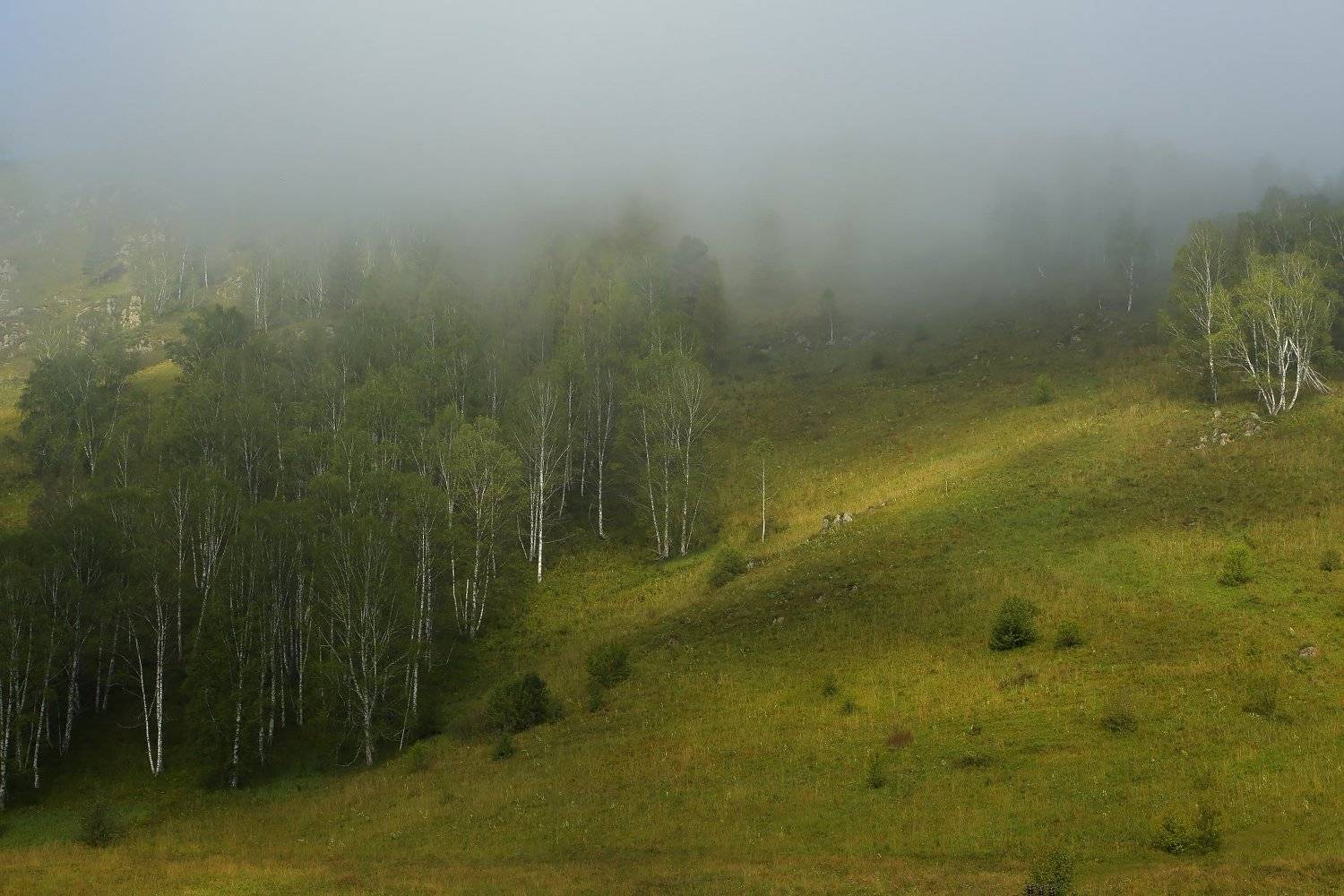 , Евгений Зинов