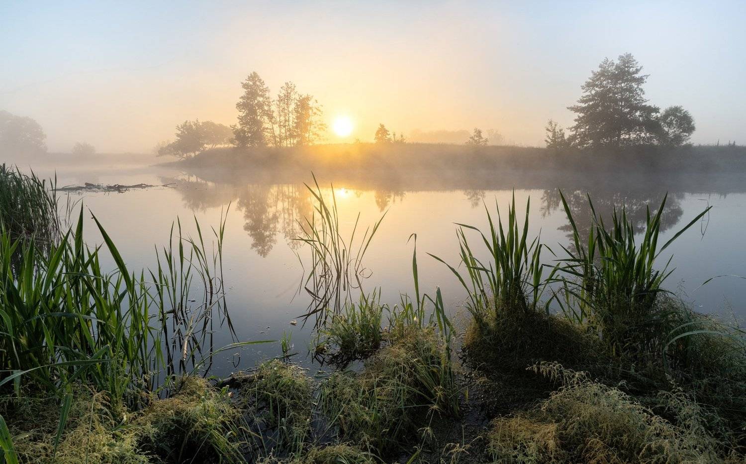 , Александр Бредихин