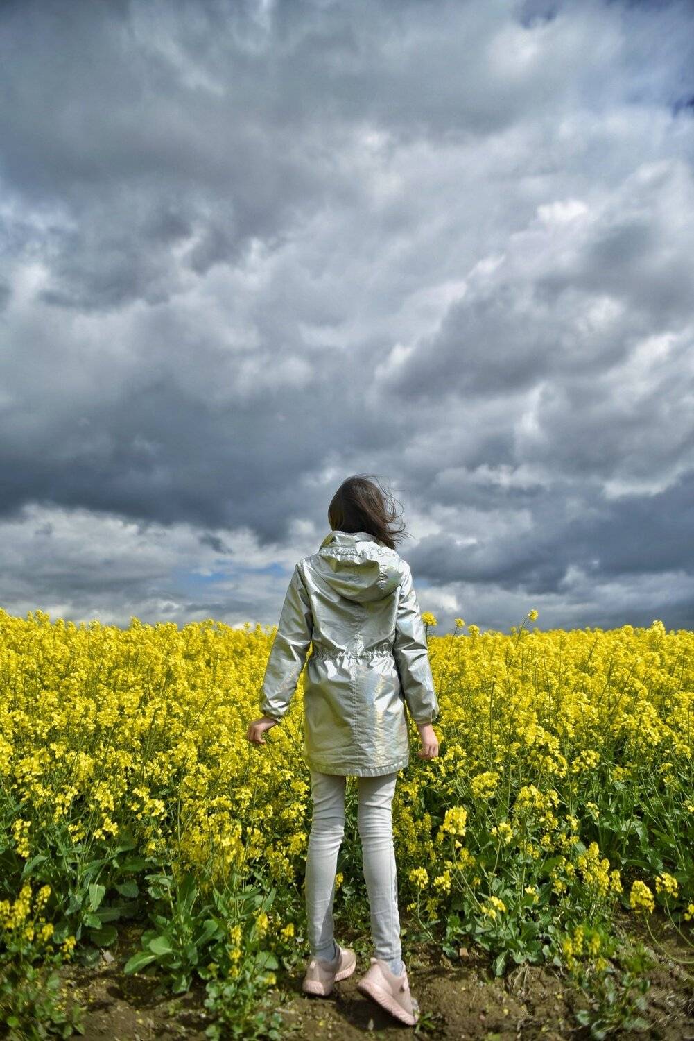 , Владимир Леликов-Кузьменко