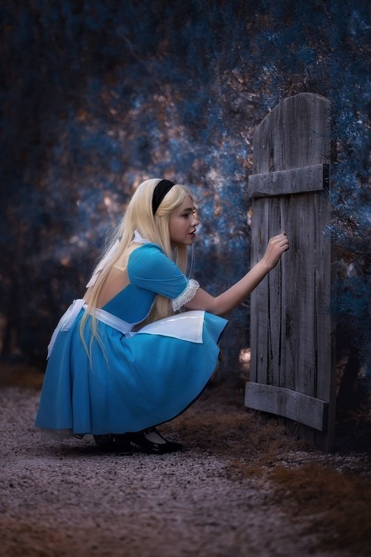 фентези сказка девушка алиса страна чудес Алиса фото превью