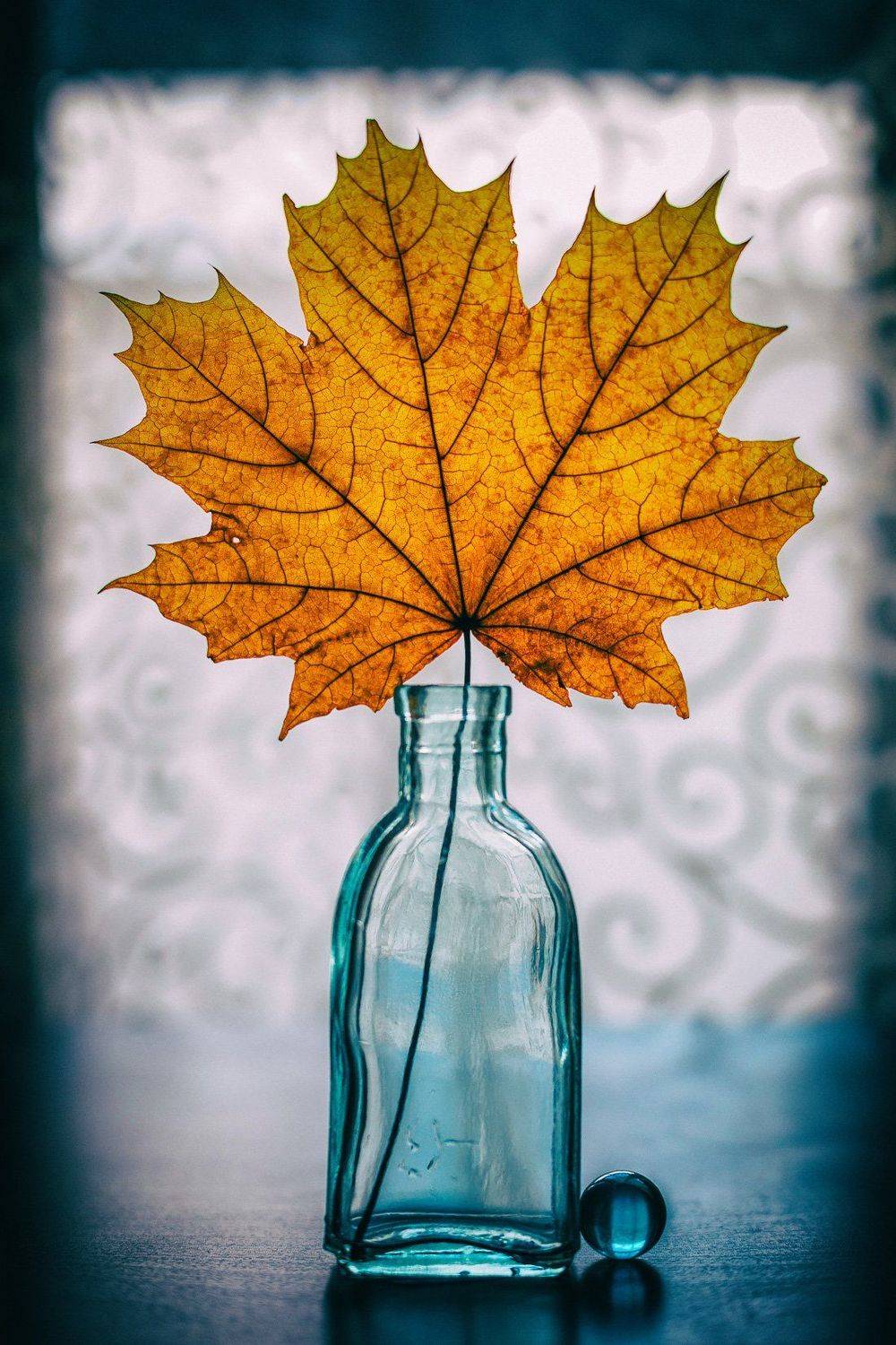 скоро осень., Refat Mamutov