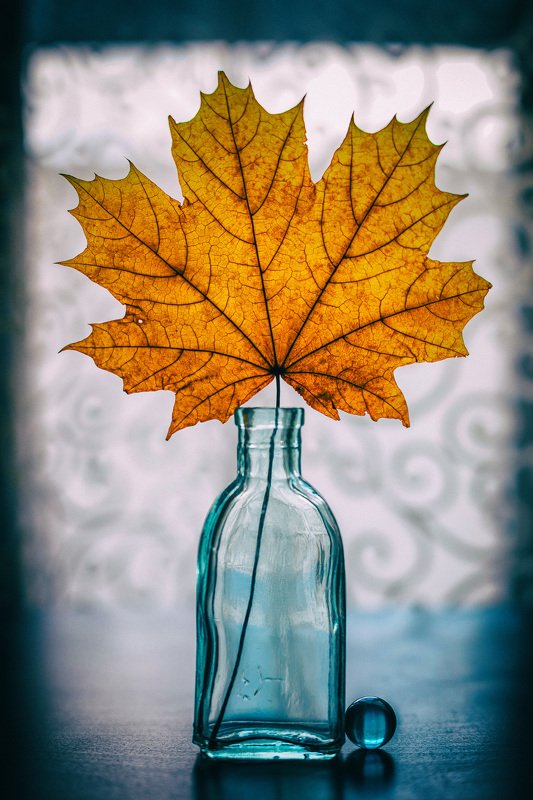 скоро осень.  фото превью