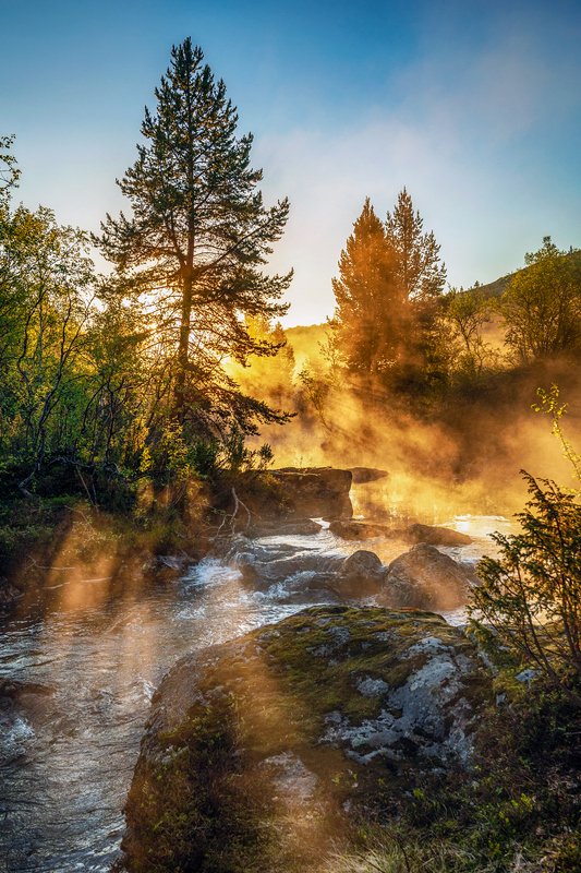 ночь солнце день полярный * * * фото превью