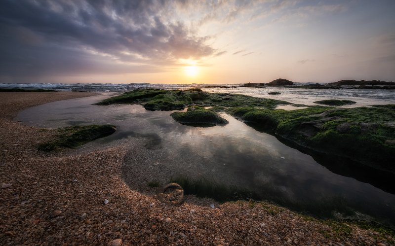 Spring Sunset фото превью