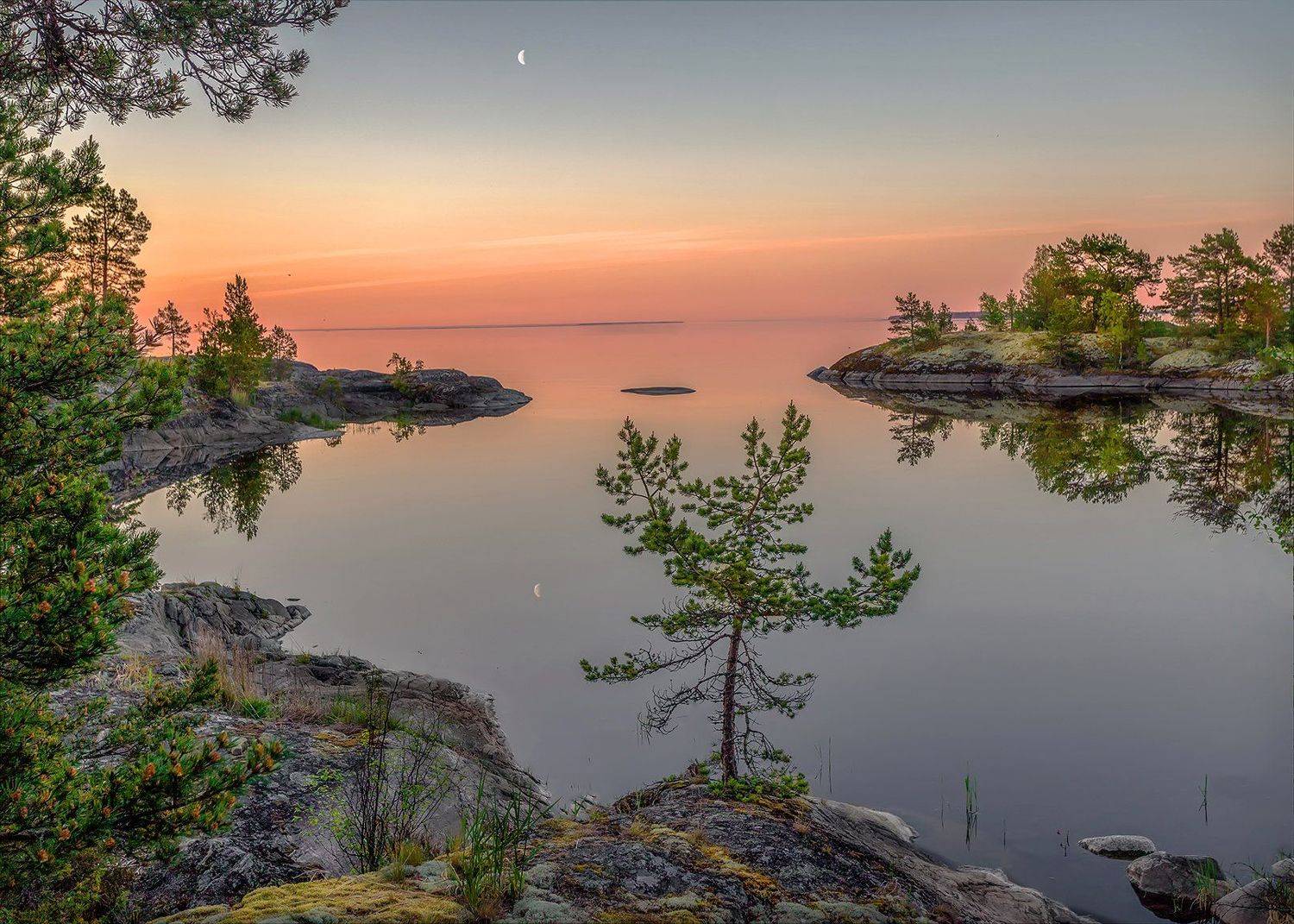 , Елена Маковоз