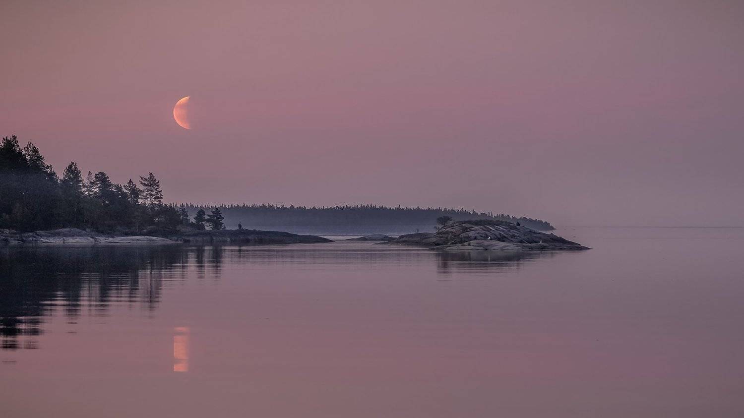 , Елена Маковоз