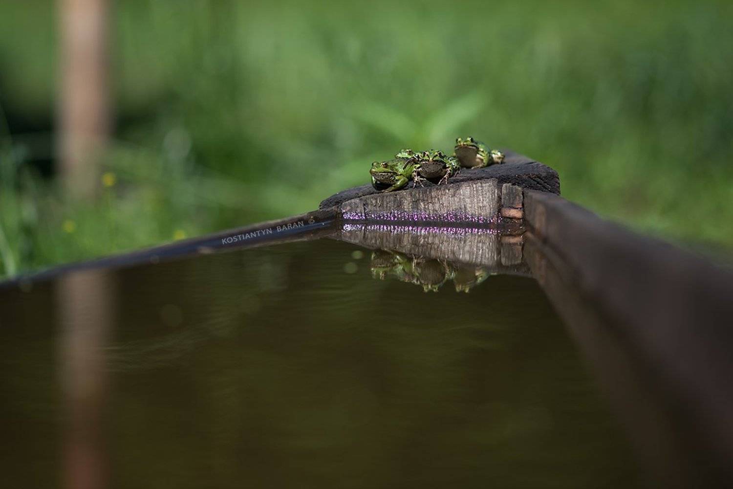 , Костянтин Баран