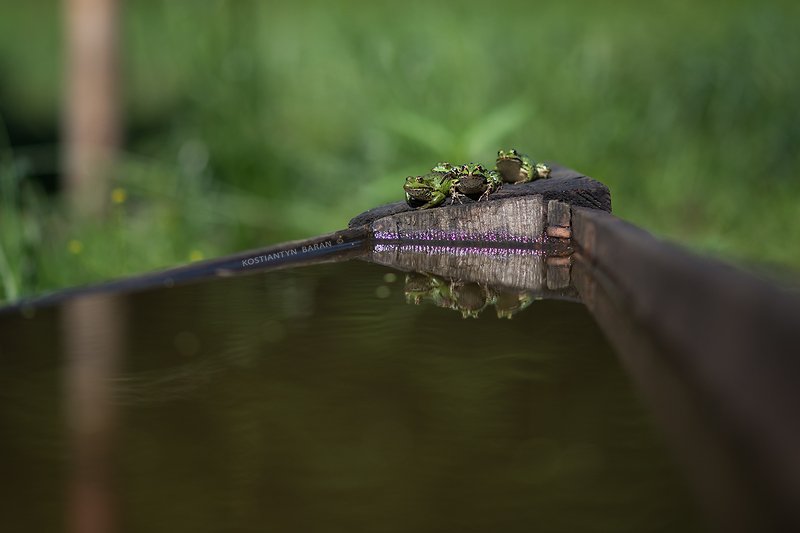 квартет на курорте фото превью