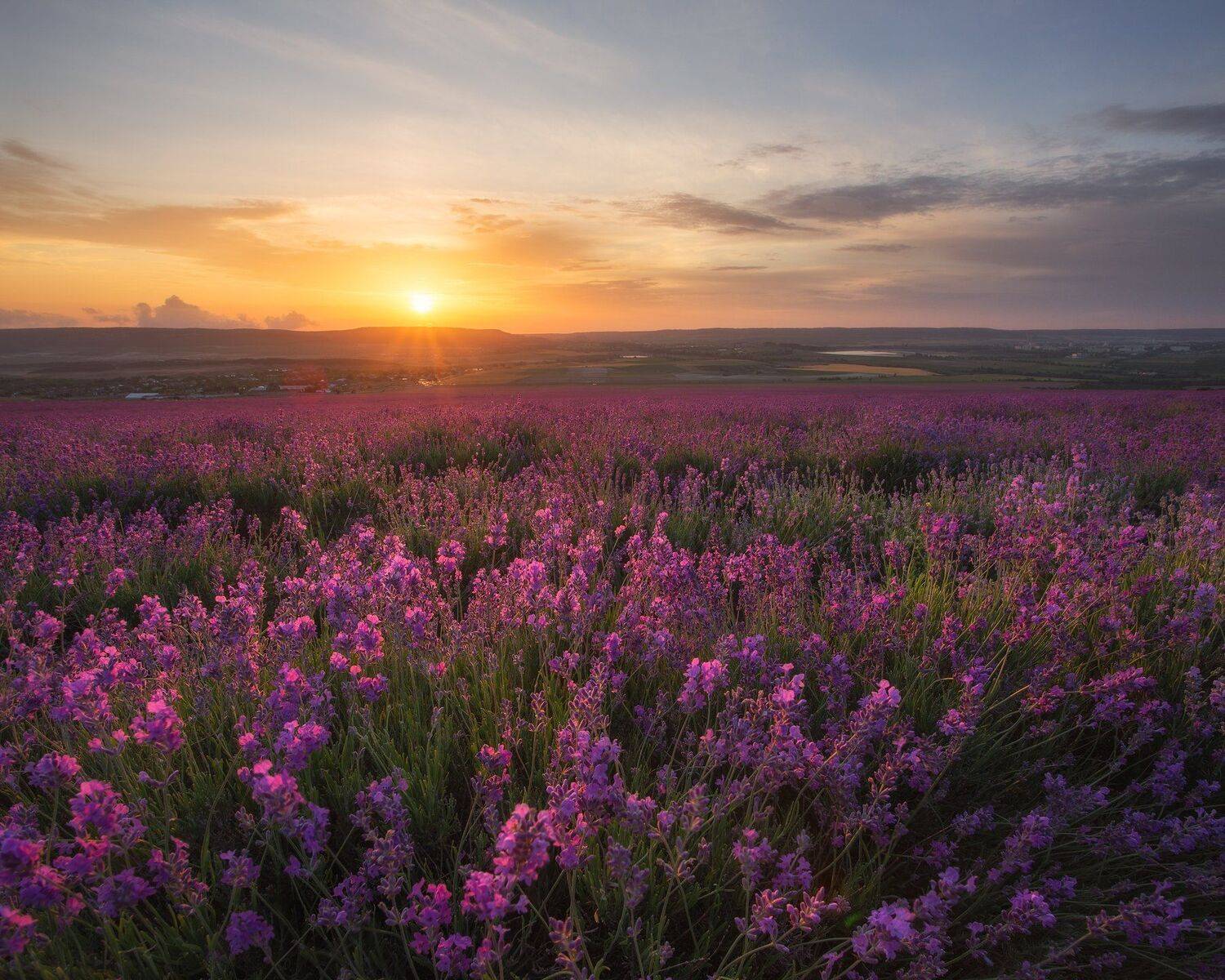 крым, лавандовое поле, бахчисарай, лето, поле, закат, путешествие, пейзаж, цветы, вечер, пейзаж, солнце, заход солнца, облака, Екатерина Дмитренко