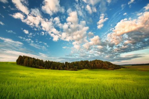 Шарканский район Удмуртия.