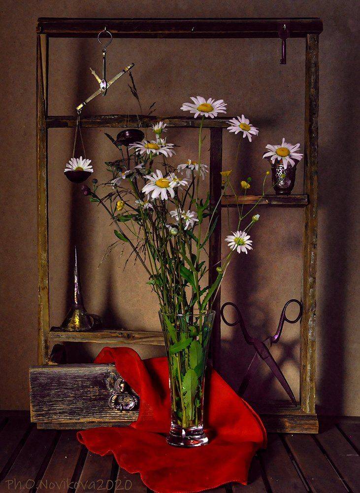 полка,ромашки,цветы,платок,ножницы,весы, Ольга Новикова