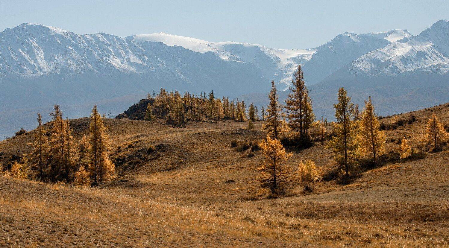алтай,северо-чуйский хребет., Марина Фомина