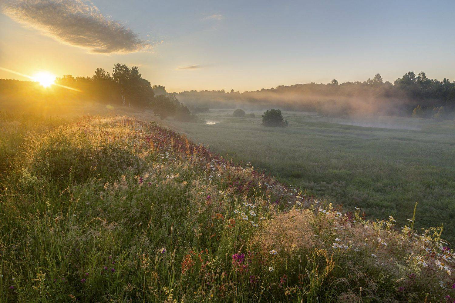 Фототуры с Владимиром Рябковым, Владимирская область, лето, #sunrise #sunset #рассвет #закат  #Russiannature #Russia #Россия #природаРоссии #landscape #пейзаж #landscapephotography #Nikon #Никон, Владимир Рябков