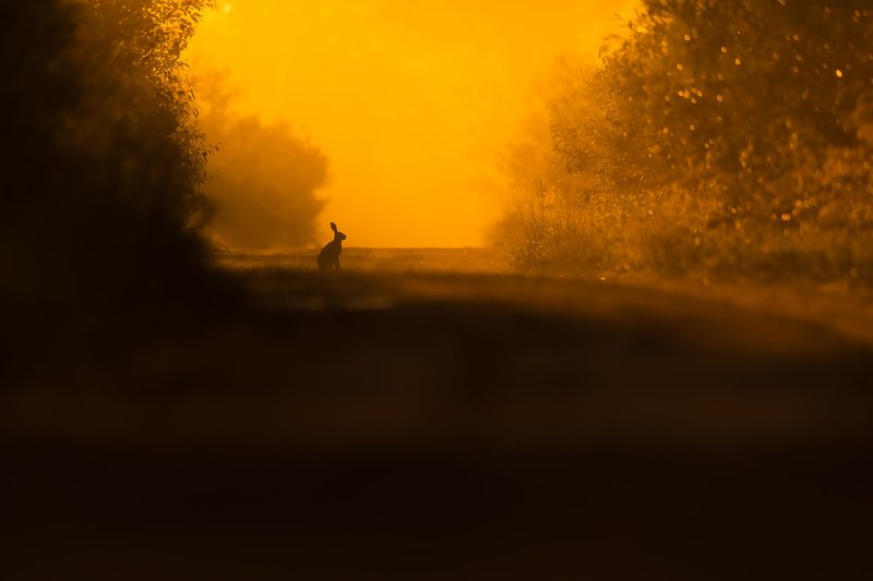 A light tunnel фото превью