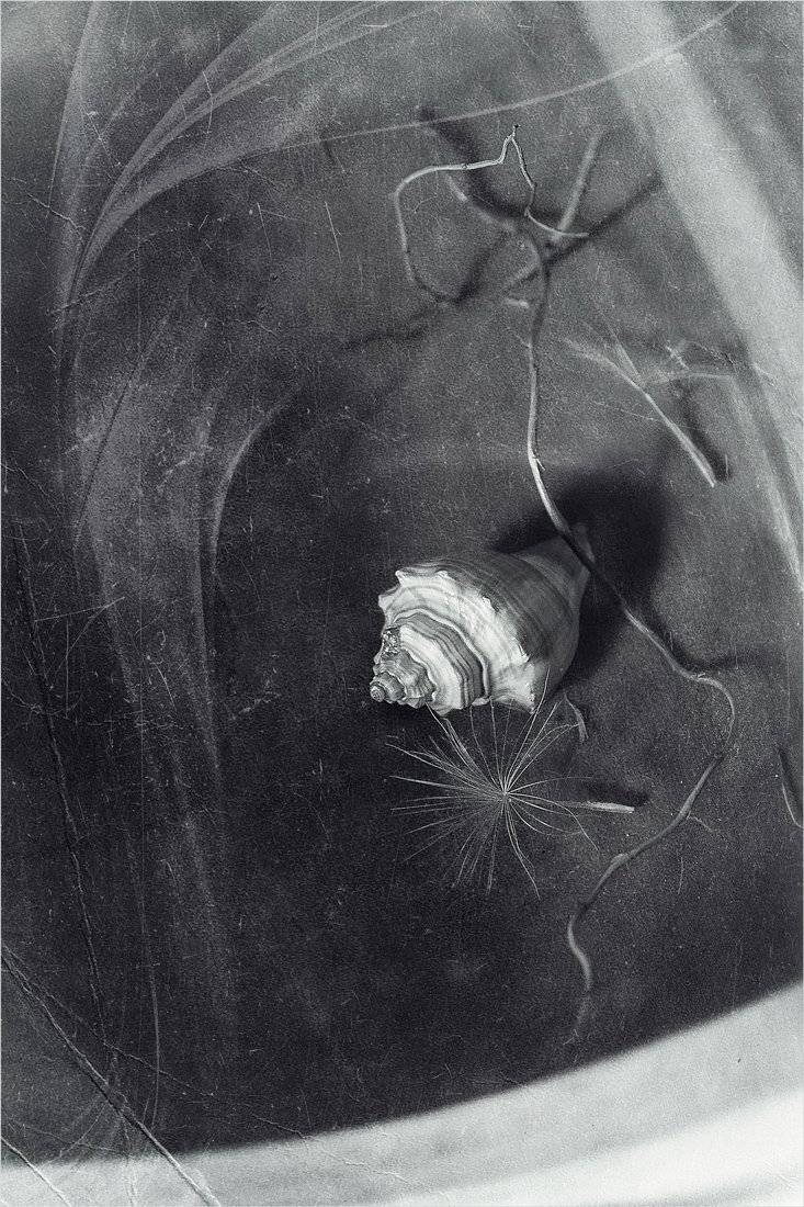 , Александр Хромеев