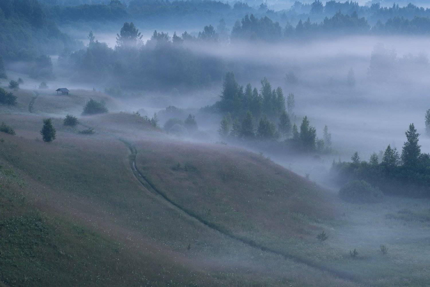 , Роман Фабричный