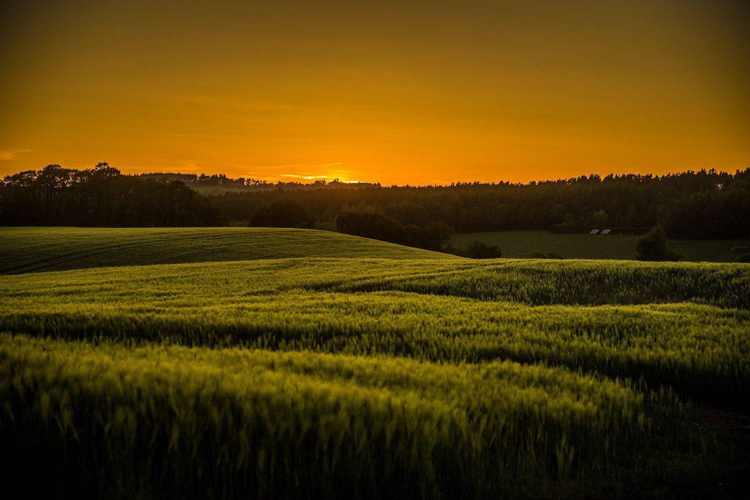 nikon d750, Simon Clubb