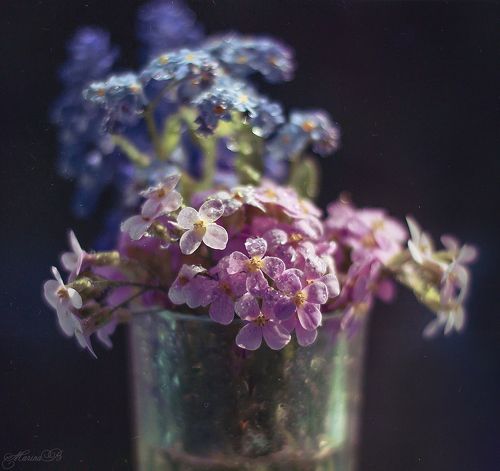 Весенний дуэт