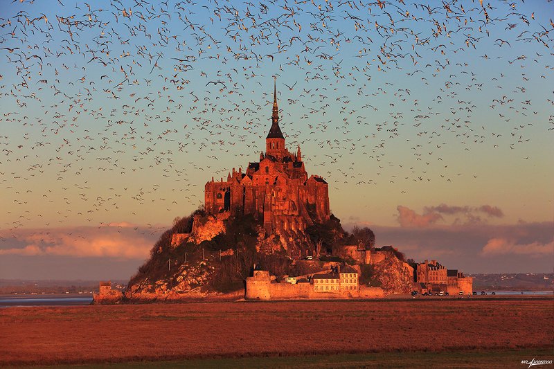 франция,mont saint-michel,france Обитель... фото превью