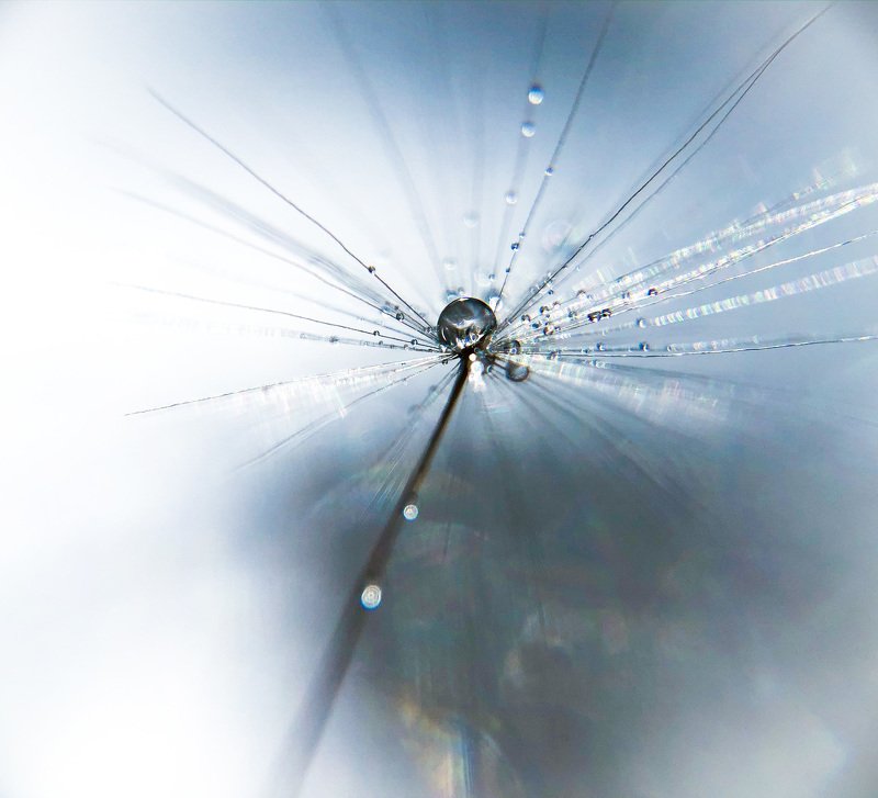 Drops фото превью